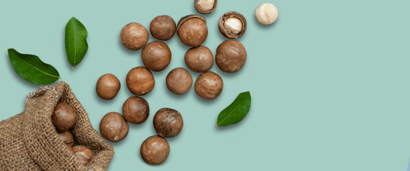 Macadamia